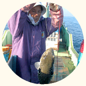 トラフグ漁